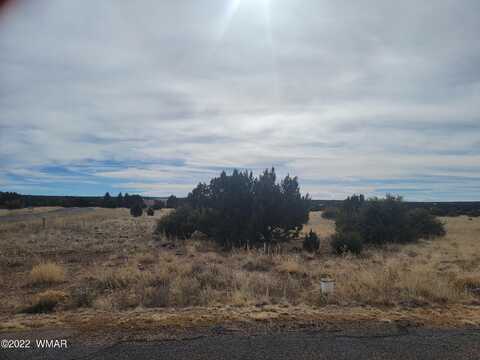 1961 Creekside Circle, Show Low, AZ 85901