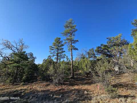 801 W Sierra Pines Drive, Show Low, AZ 85901