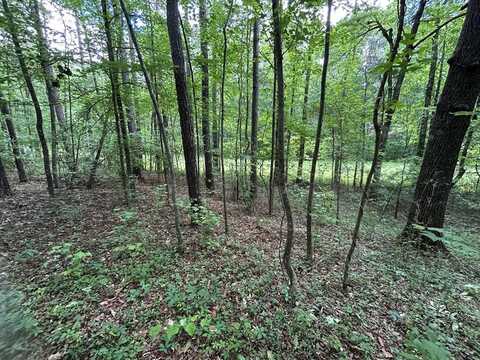 Hog Liver Road, Carrollton, GA 30117