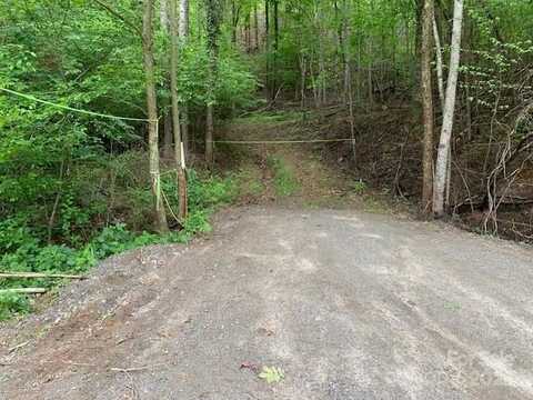 42.16 Acs GREEN RIVER COVE Road, Saluda, NC 28726