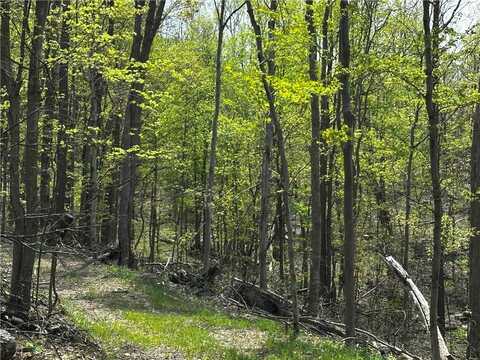 26115 Jumonville Rd, Union, PA 15445
