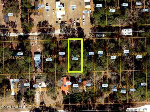 2859 Aster Lane SW, Supply, NC 28462