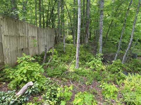 000 Songbird Trail, Waynesville, NC 28785
