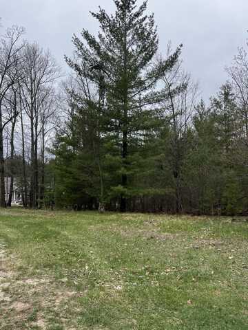 Lot 12 MISTY MEADOW Court, Roscommon, MI 48653