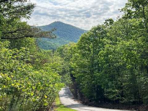 Lot 25 Loftis Mountain, BLAIRSVILLE, GA 30512