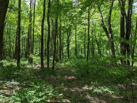 00 Old Homestead Lane, Kent, CT 06785