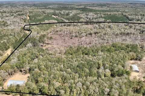 2326 Campbell Hill Road, Chancellor, AL 36316
