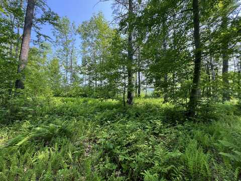 Lot 19a Intervale Road, Bethel, ME 04217