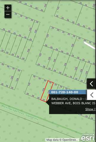 720140 Webber AVE, Bois Blanc, MI 49775