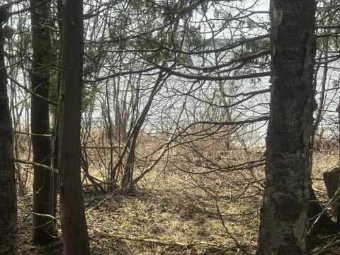 Lot 1 Tressler Drive, Mc Millan, MI 49853