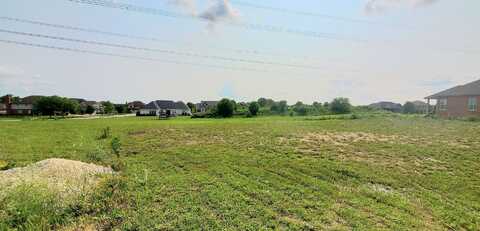 20008 Aine Drive, Frankfort, IL 60423