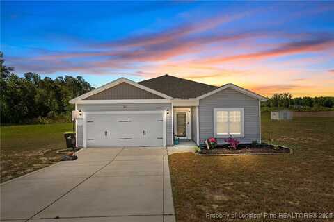 308 Laurel Lake Road, Salemburg, NC 28385