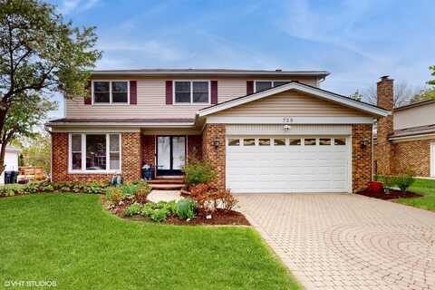 729 W Gilbert Road, Palatine, IL 60067