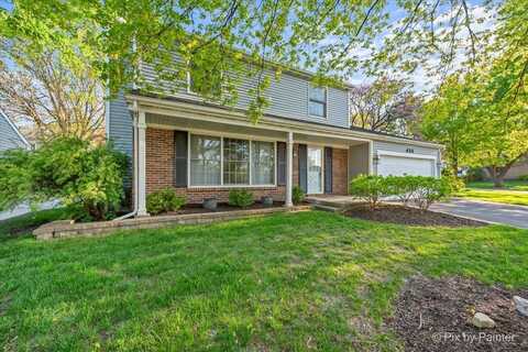 424 Livingston Drive, New Lenox, IL 60451
