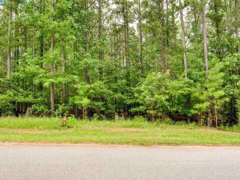 Lot 58 LIGHTHOUSE POINTE, Lincolnton, GA 30817