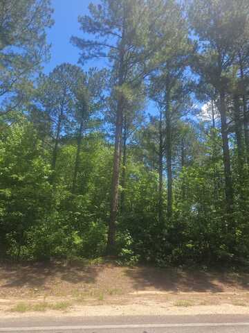Lot 6 GA HIGHWAY 123, Mitchell, GA 30820