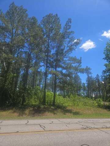 Lot 4 GA HIGHWAY 123, Mitchell, GA 30820