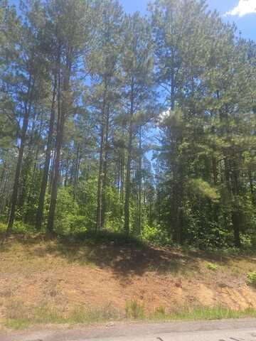 Lot 8 GA HIGHWAY 123, Mitchell, GA 30820