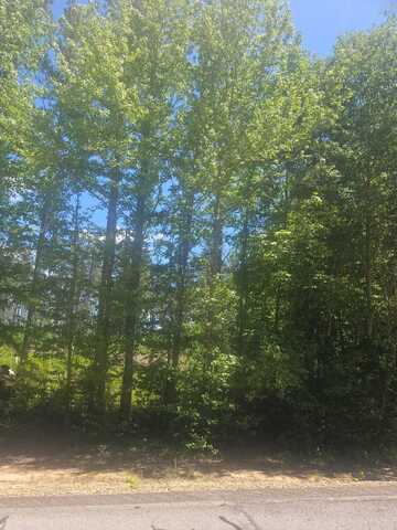 Lot 5 GA HIGHWAY 123, Mitchell, GA 30820