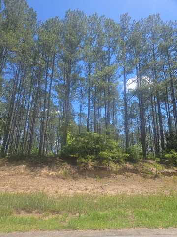 Lot 7 GA HIGHWAY 123, Mitchell, GA 30820