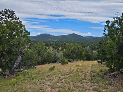 43 Carson Drive Last Frontier, Datil, NM 87821