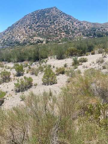 0 Farris Ranch Road, Pinon Hills, CA 91401