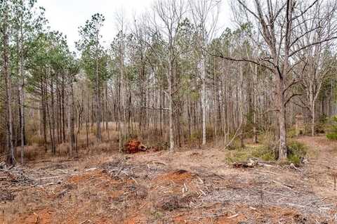 0 Holly Springs Road, Pendergrass, GA 30567