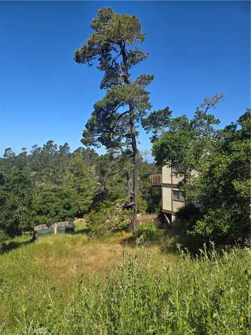 0 Pierce Avenue, Cambria, CA 93428
