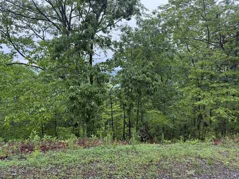 321 Oberlin Court, Ranger, GA 30734