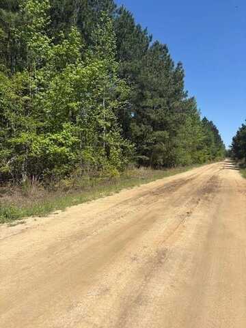 0 Mt Pleasant Church Road, Pineview, GA 31701
