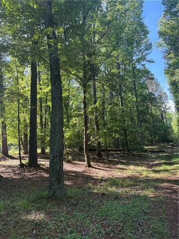 4781 Old Stilesboro Road NW, Acworth, GA 30101