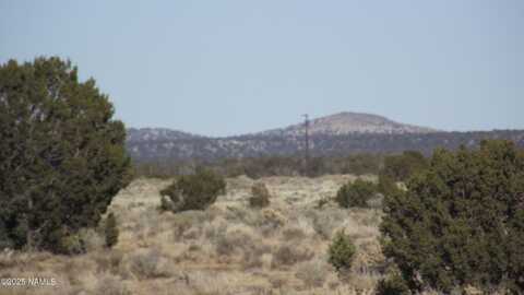 2940 E Wingfield Road, Williams, AZ 86046