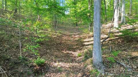 00 Flanagan Mill Road, Auburn, GA 30011