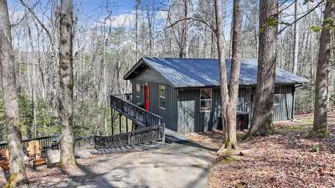 222 Icy Lane, Blue Ridge, GA 30513