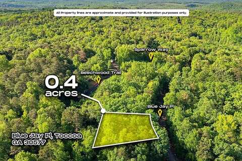 Blue Jay Place, Toccoa, GA 30577