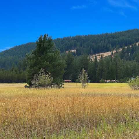 3349 ROCKCUT RD, KETTLE FALLS, WA 99141