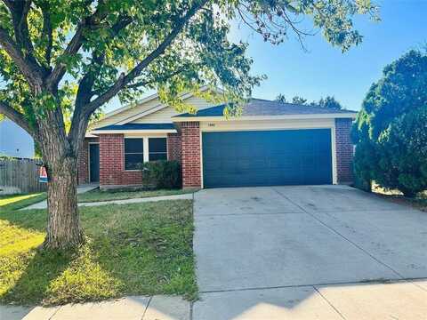 1002 Mazourka Drive, Arlington, TX 76001