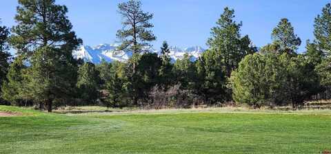1635 Marmot Drive, Ridgway, CO 81432