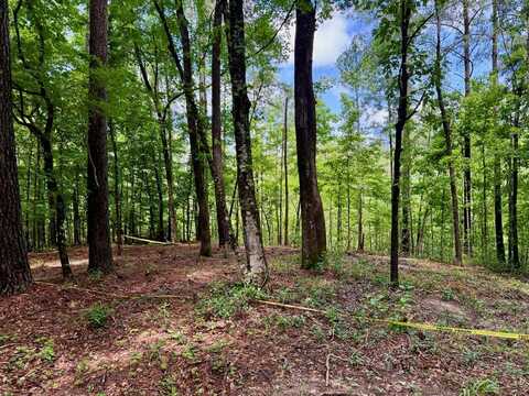 TBD Tanglewood Circle Lot #2, Nacogdoches, TX 75961
