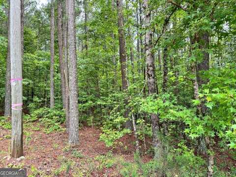 131 Ext Johnson, Locust Grove, GA 30248