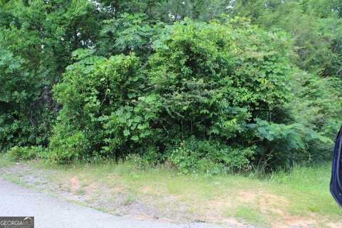 0 Liberty Street, Lumpkin, GA 31815