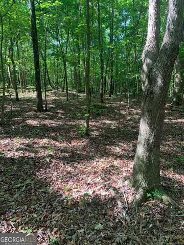 7700 Poole, Alto, GA 30510
