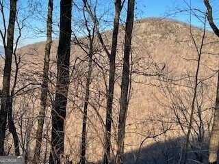 Lot 25 MOUNTAINSIDE, Cleveland, GA 30528