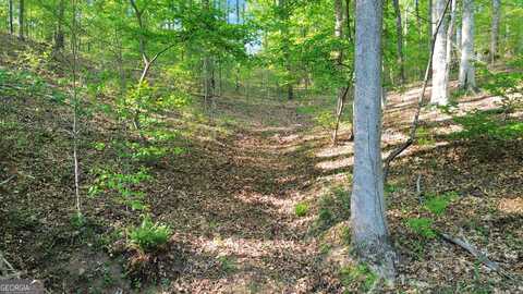 0 Flanagan Mill, Auburn, GA 30011