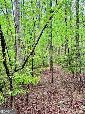 308 Creekside, Ellijay, GA 30540