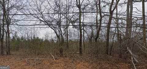 1765 High Falls, Griffin, GA 30223