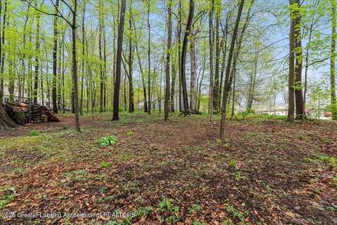 2531 Fedewood Lane, DeWitt, MI 48820