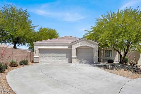 6032 Red Glitter Street, North Las Vegas, NV 89031