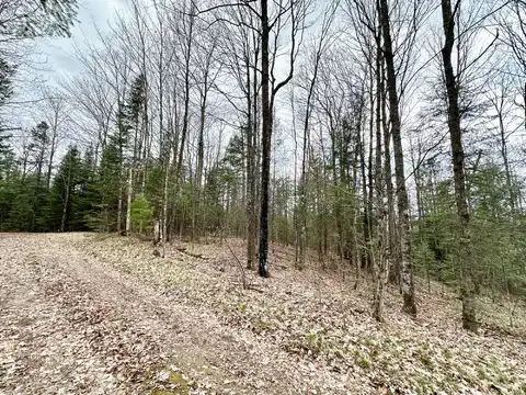 10 Acres HWY 55, Pearson, WI 54462