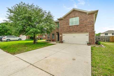 115 Palomino Lane, Krum, TX 76249
